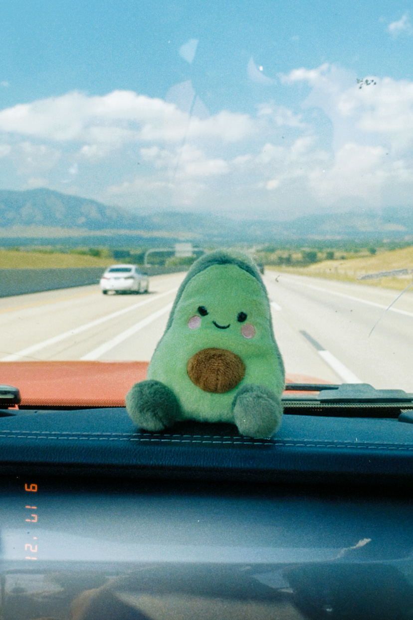 A plush avocado with a smiley face sits on the dashboard of a car with the Colorado mountains behind it