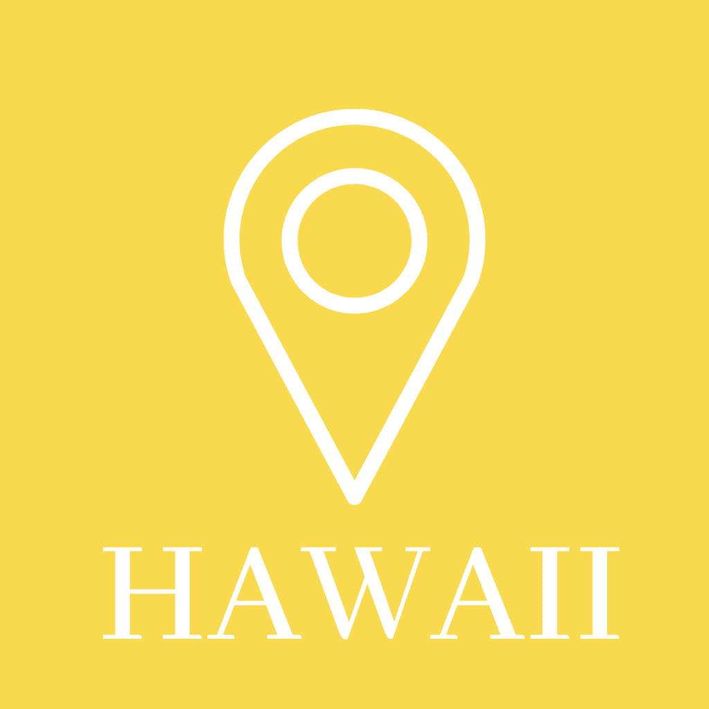 The hawaii location pin on a yellow background.