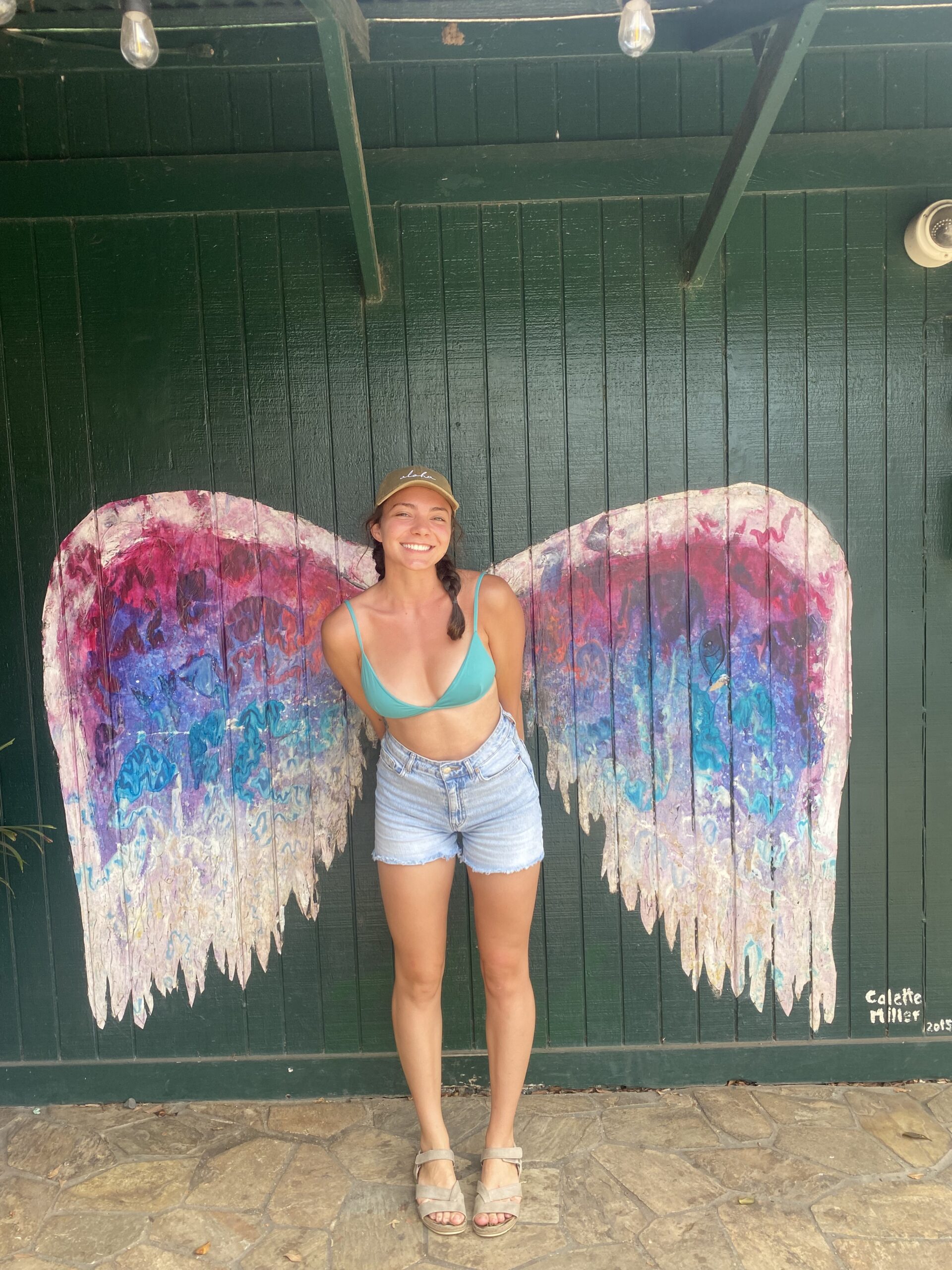 bikini, angel wings