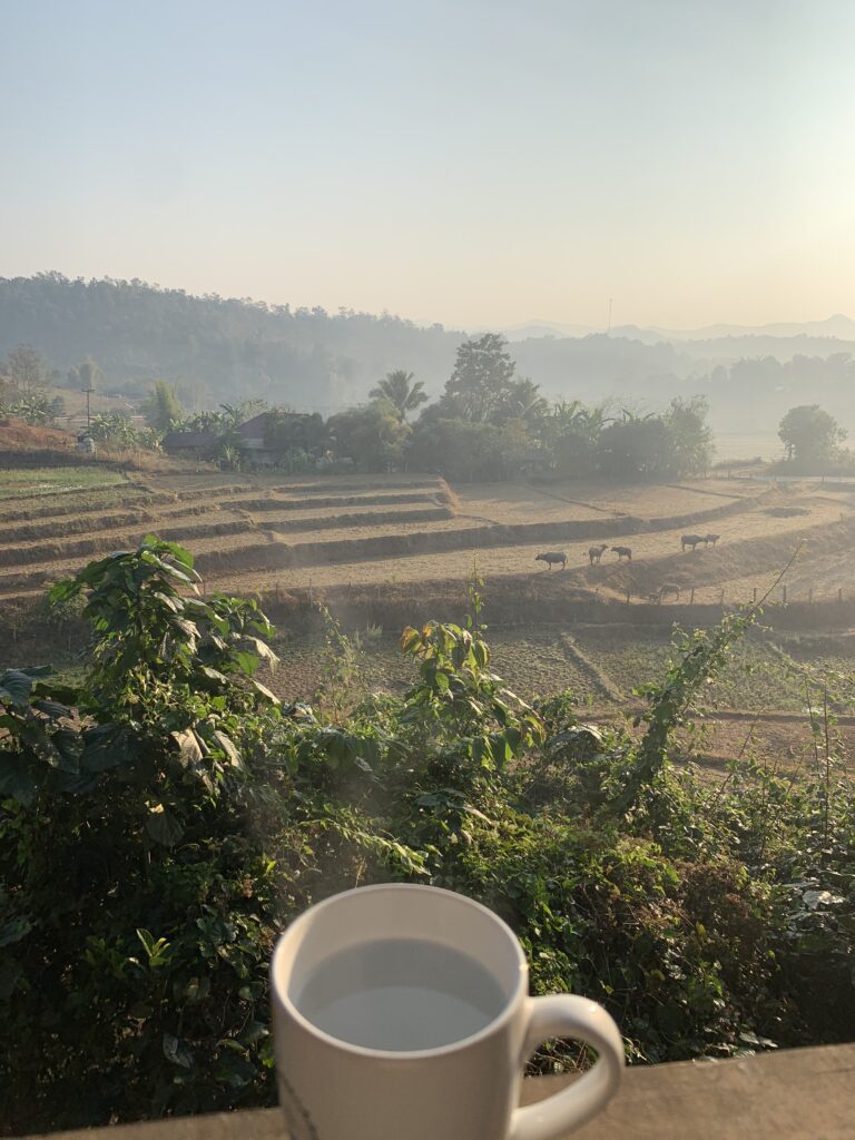 field, table