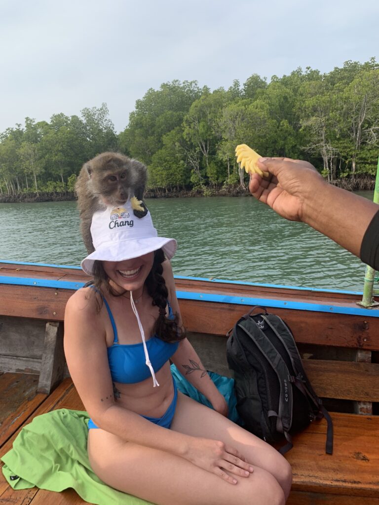 boat, monkey