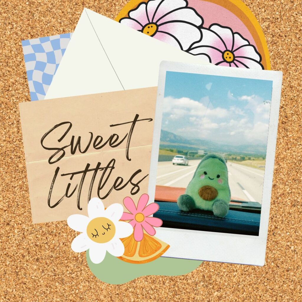 Colorful collage with flowers, a photo of a plush toy on a car dashboard, and the words "Sweet Littles" on a corkboard background.